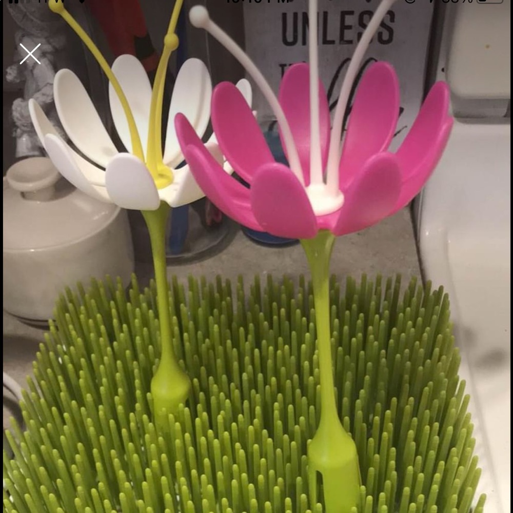Bottle dry rack